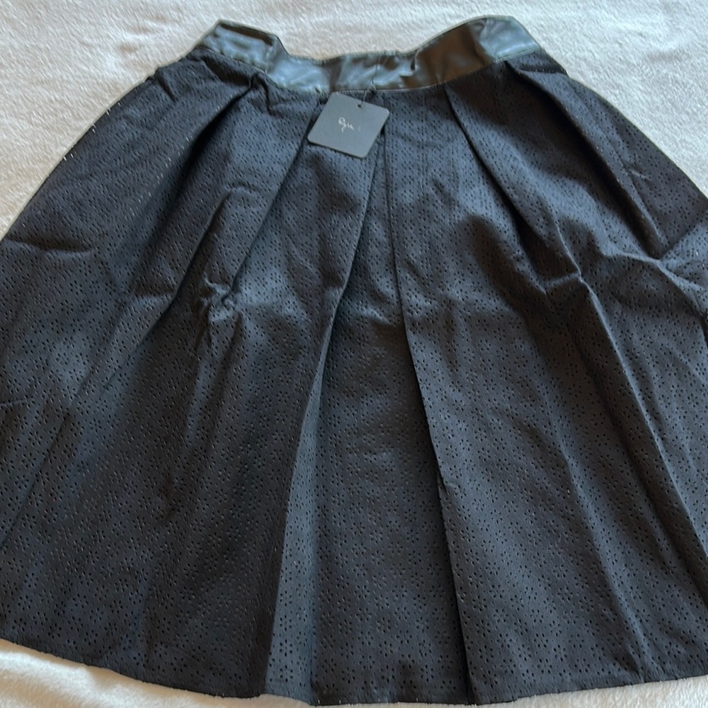 Ryu Black Knee-Length A-Line Pleated Skirt